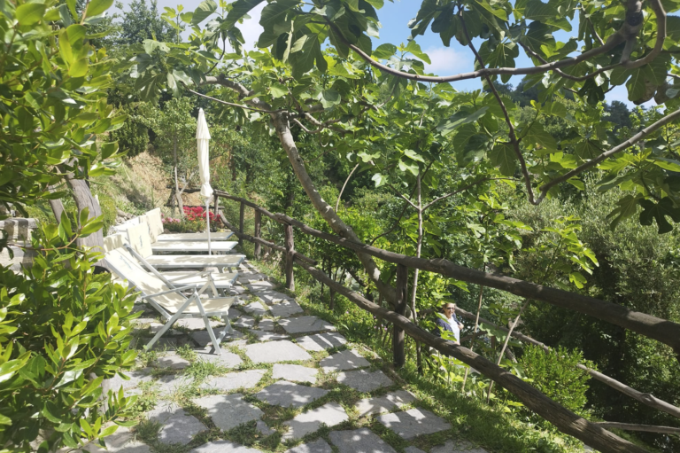 nitrodi ischia terme