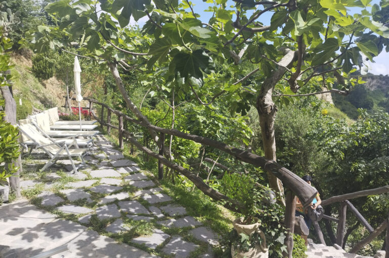 nitrodi ischia terme
