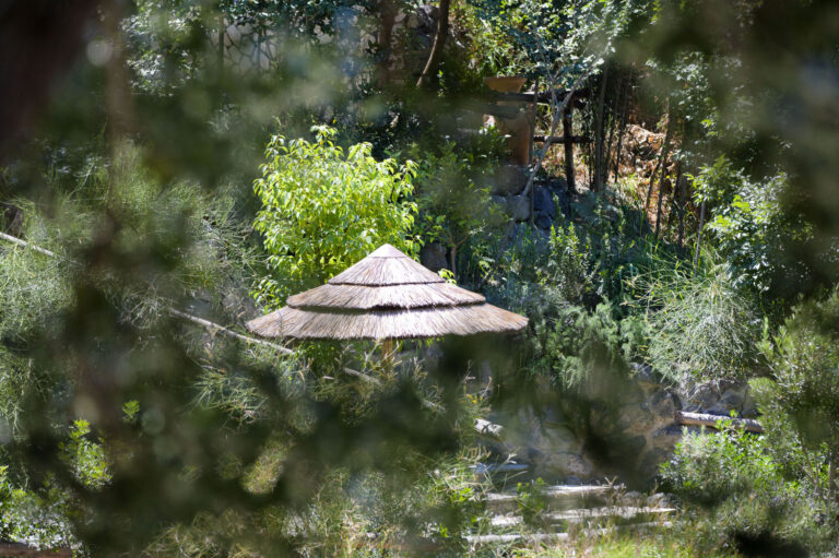 terme nitrodi spa ischia